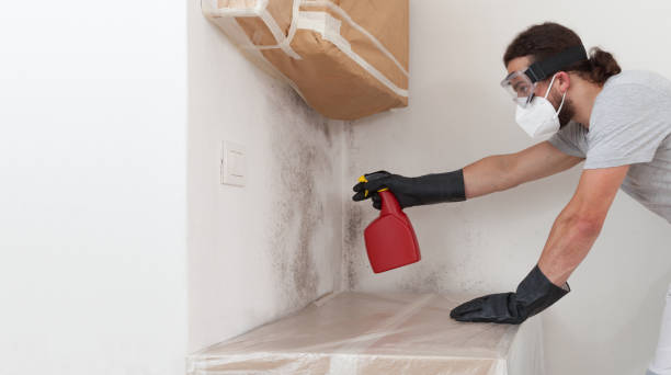 Professional Crawl Space Mold Removal technician working in Merrick, NY