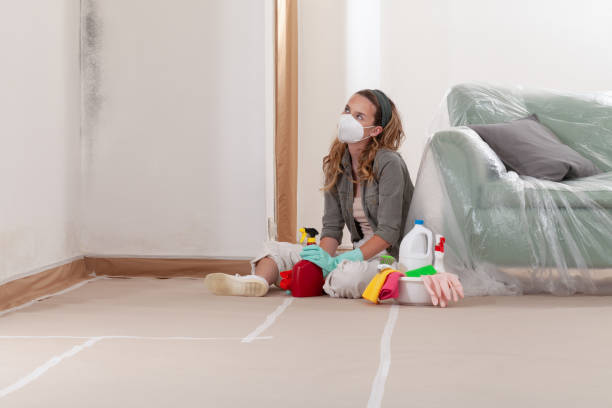 Reliable Crawl Space Mold Removal contractor in Merrick, NY by WQB Mold Removal